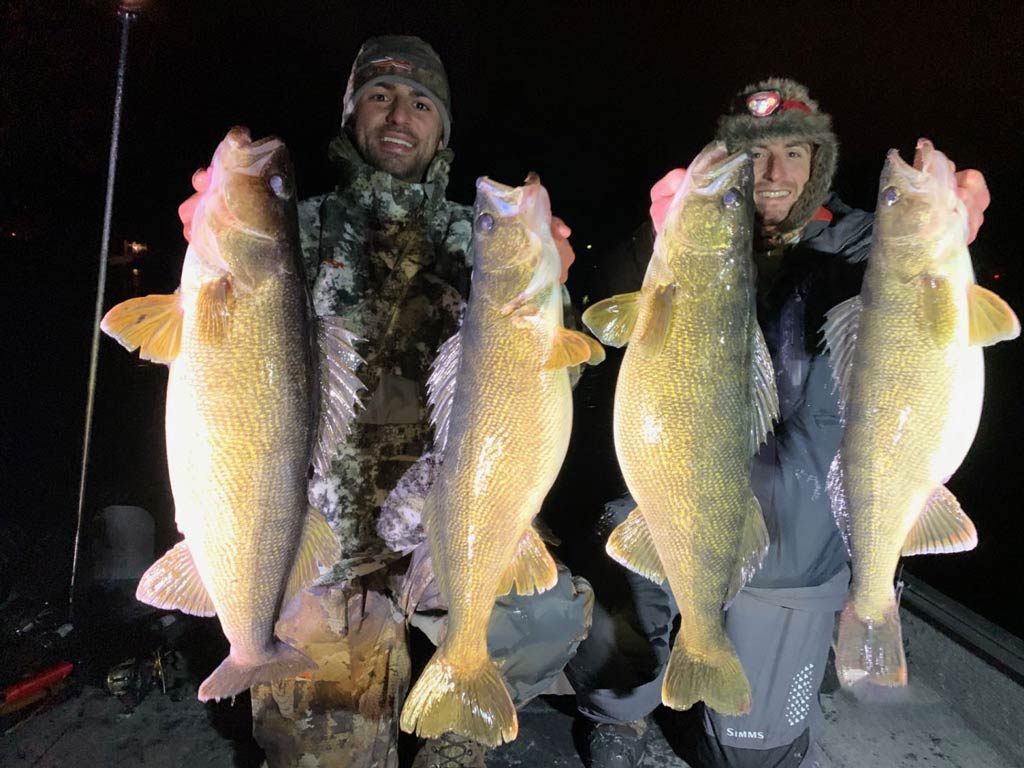 A photo taken after a night fishing trip featuring two proud anglers holding their Walleye catches in each hand 