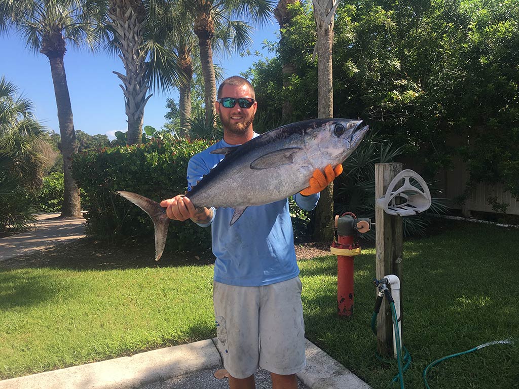 A smiling angler back on the shore, standing on some grass with palm trees and bushes behind him, showing off a Blackfin Tuna caught fishing in Siesta Key