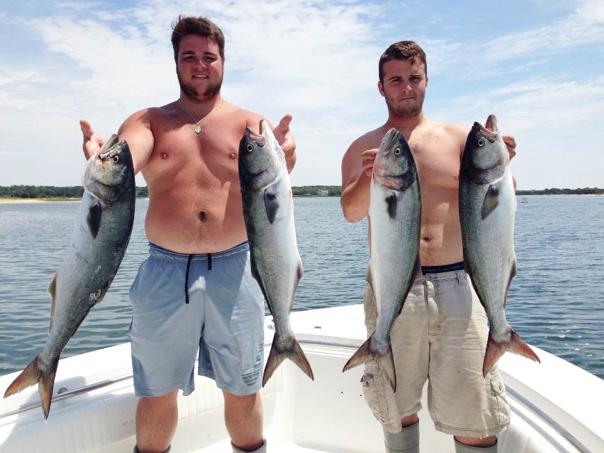 Two shirtless anglers standing on the front of a boat, holding two Bluefish each, caught while fishing in Cape Cod