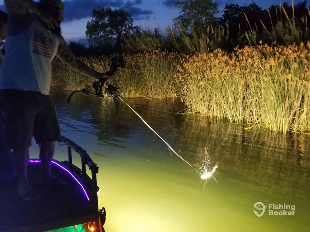 A view from a boat of an angler, further down the side of the boat, firing a bow into the water, illuminated by the lights of the boat near reeds at night in Texas