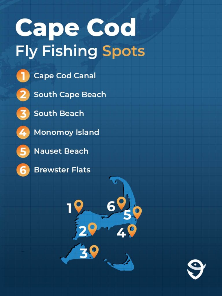 An infographic showing the best fly fishing spots in Cape Cod, featuring a map of Cape Cod and six spots dotted around it against a blue background