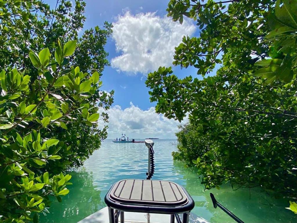 A photo of a flats boat gliding slowly through the shallows surrounded by mangroves, with another boat in front of it in the distance