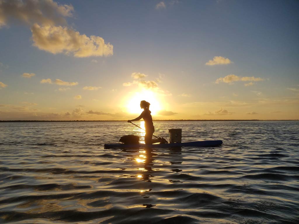 A sunset view of an angler kneeling on a paddle board next to an ice box and tackle box and paddling in search of decent fishing grounds