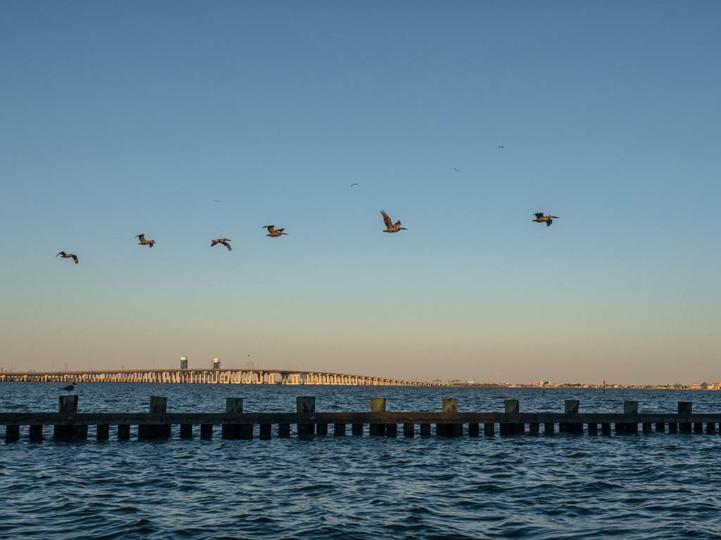 A view across the water on East Bay with a large bridge in the distance and the remnants of a jetty in the foreground, as birds fly above in a row near dusk