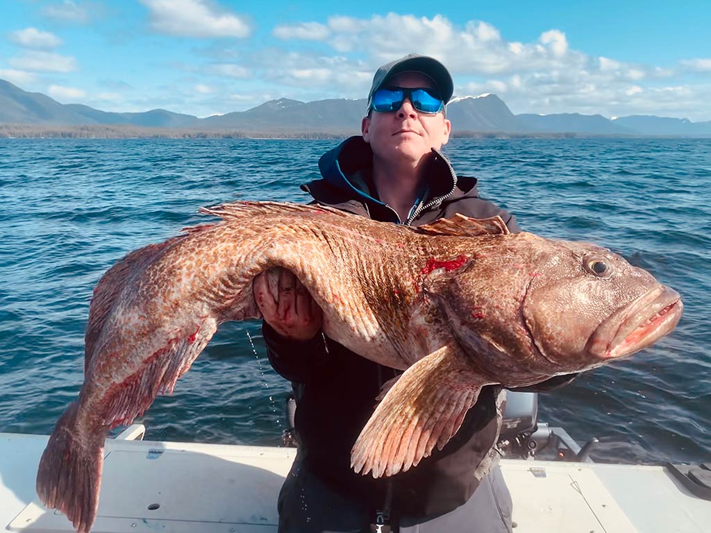 A middle-aged man in a cap and sunglasses, standing on a fishing boat in Alaska and holding a huge Lingcod, with the water behind him on a sunny day