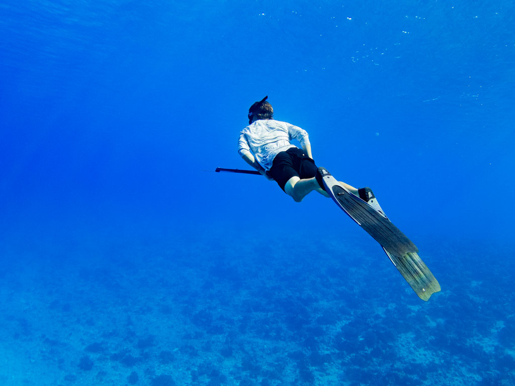 An underwater photo of a man swimming away from the camera while holding a spear gun, with vegetation visible on the sea floor.