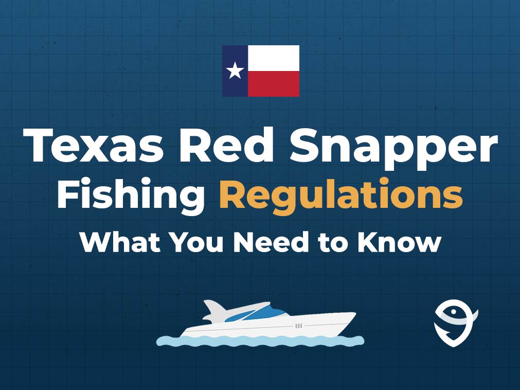 An infographic featuring the Texas state flag, a vector of a boat, and the FishingBooker logo, and text stating "Texas Red Snapper Fishing Regulations: What You Need to Know" against a blue background