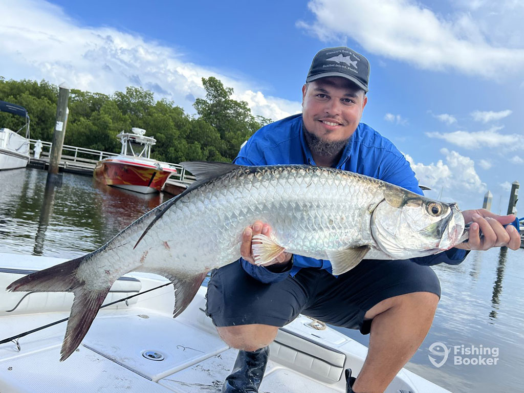 An angler in a baseball cap, crouching ona a boat and holding a large Tarpon caught while fishing in Southwest Florida, with another boat behind him