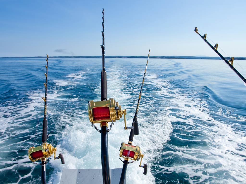 A photo of four fishing rods placed on a charter boat in rod holders with their lines in the water while trolling for deep sea fish