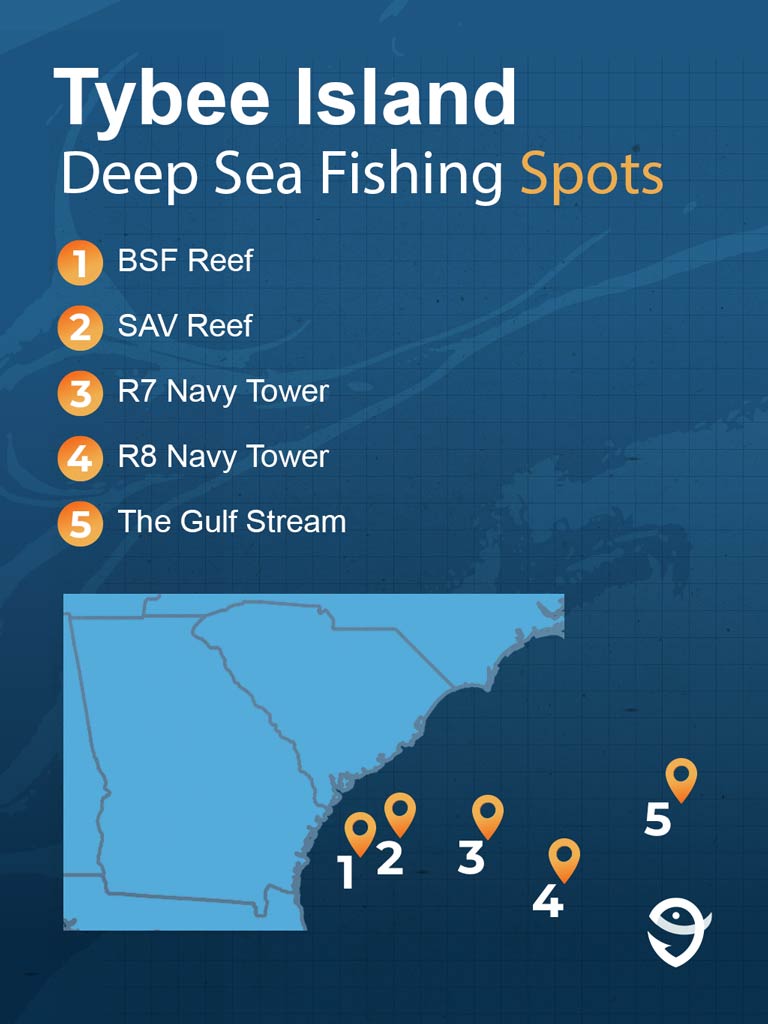 An infographic featuring the FishingBooker logo and a map of Georgia’s coast with Tybee Island deep sea fishing spots ranging from nearshore locations such as BSF and SAV reefs to the offshore fishing grounds such as Navy Towers and the Gulf Stream placed against a dark blue background