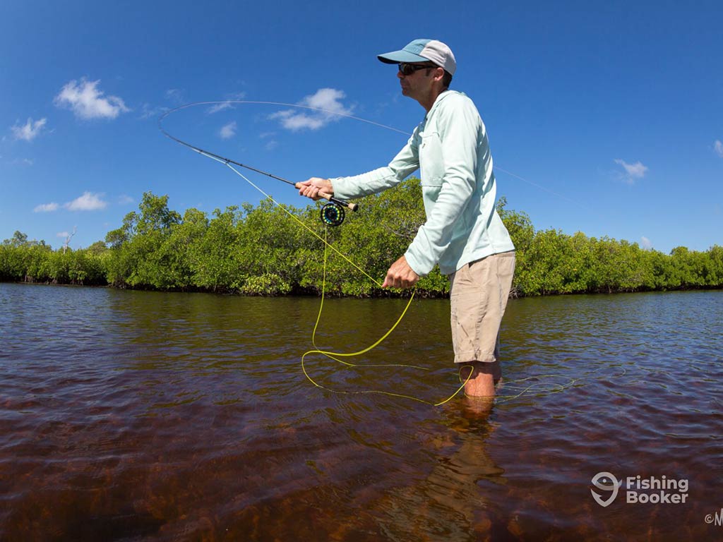 An angler standing in water almost upto his knee and casting a fly fishing line into the water, with some green foliage behind him on a sunny day