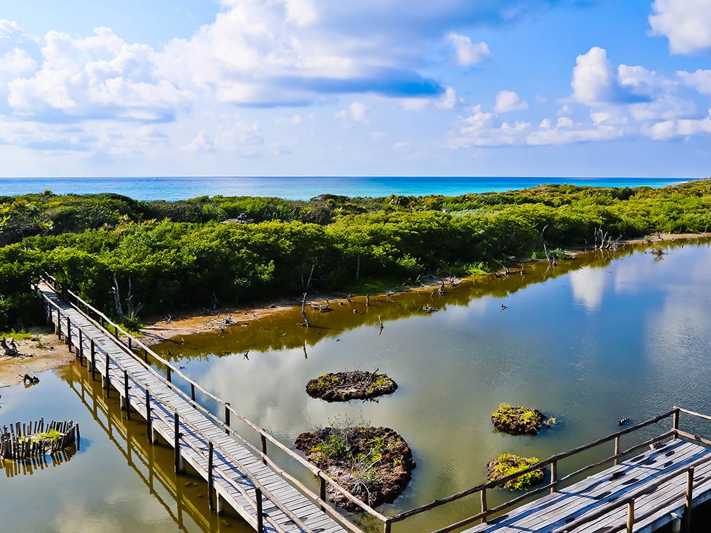 An aerial view of a fishing pier leading inshore from a strip of land, with the blue waters of the ocean visible in the distance behind some greenery