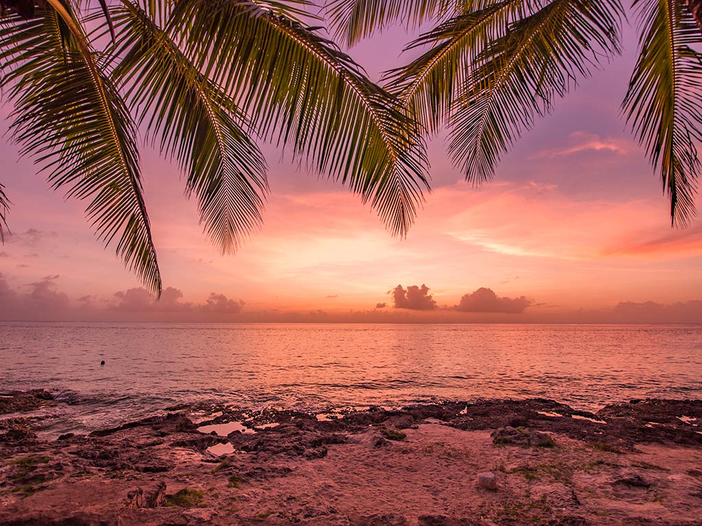 A view from the beach out across the flats to the sunset in Cozumel, Mexico, with palm trees creeping into shot at the top of the image