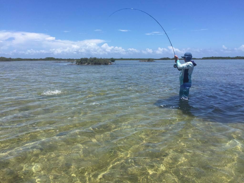 A view across the water of a fly angler casting a line in the flats of Cozumel, Mexico on a sunny day