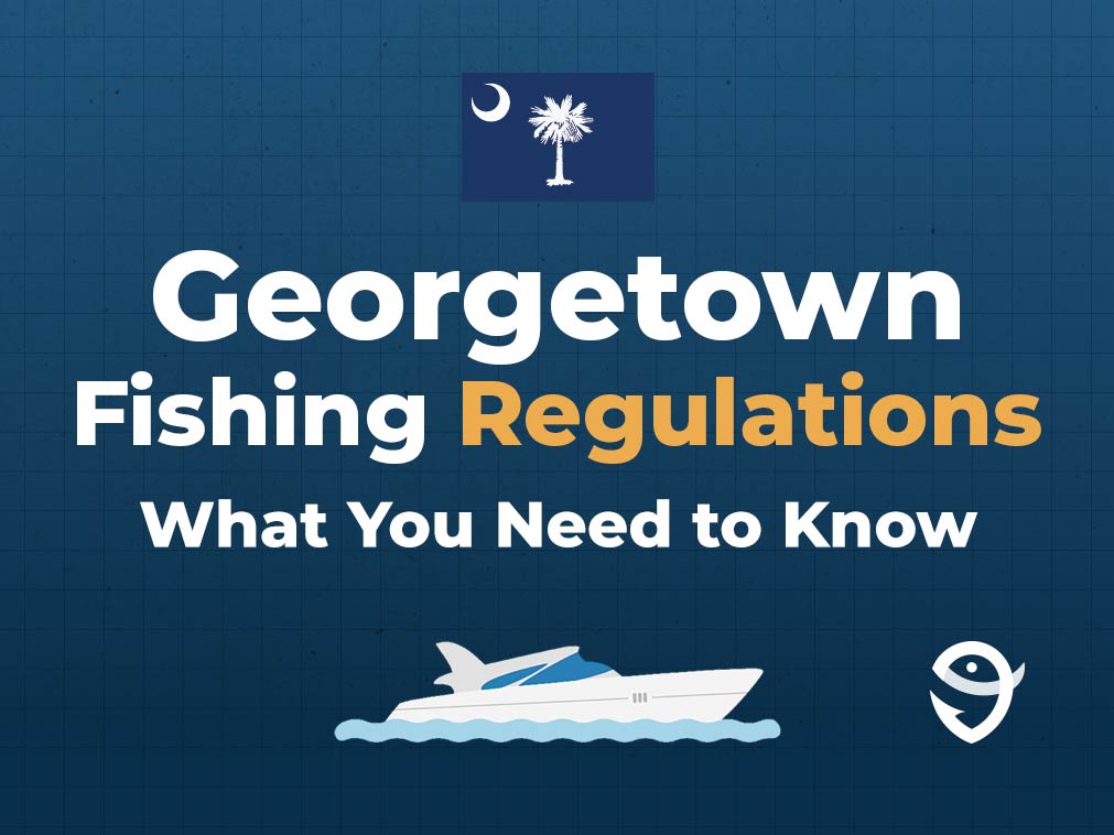 An infographic featuring the flag of South Carolina and text that says "Georgetown Fishing Regulations: What You Need to Know" against a dark blue background