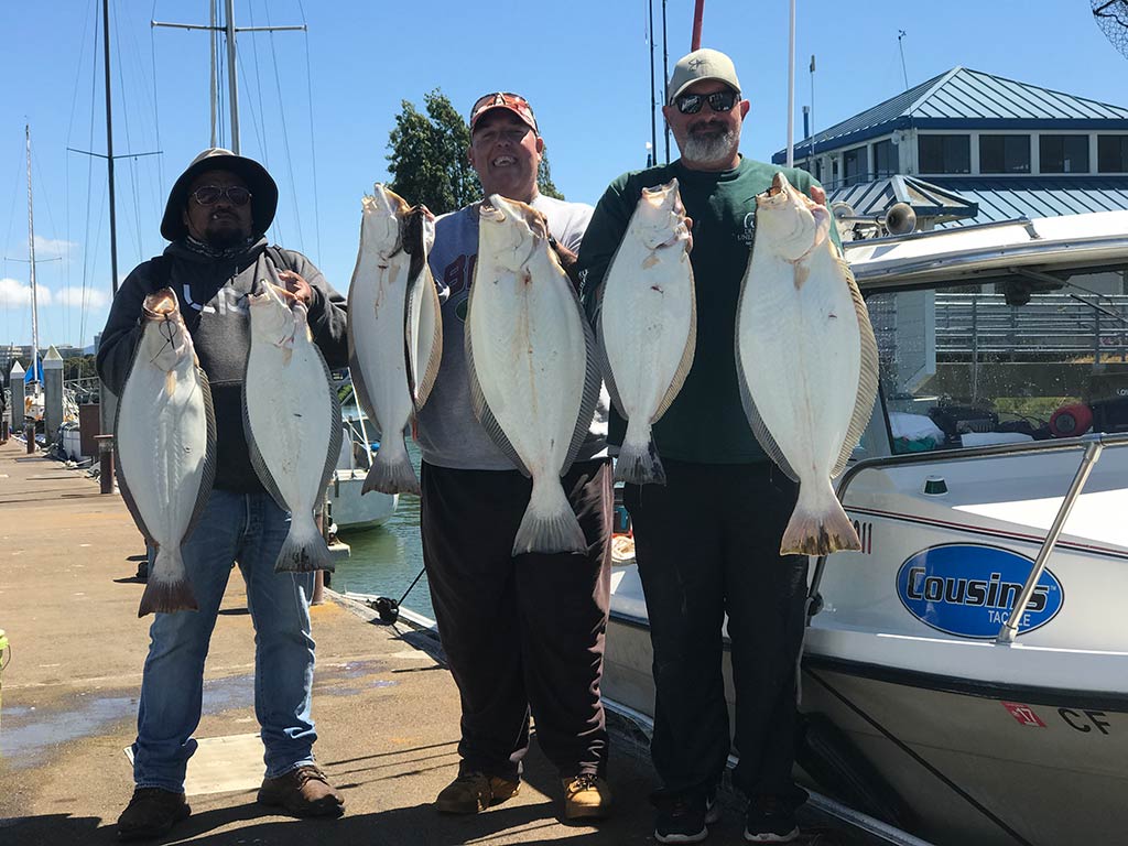 Three anglers stood on a dock in Cailfornia after returning from a fishing trip, holding a couple of Halibut each on a sunny day