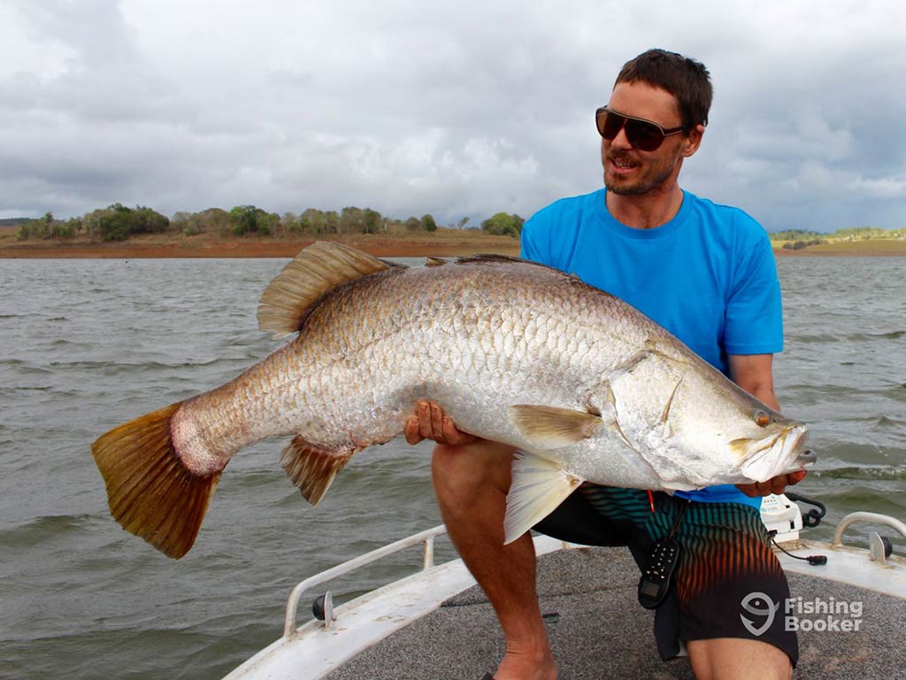 An angler in a blue shirt and sunglasses, crouching on a boat and holding a large Barramundi, with the inshore waters and some land behind him on a cloudy day