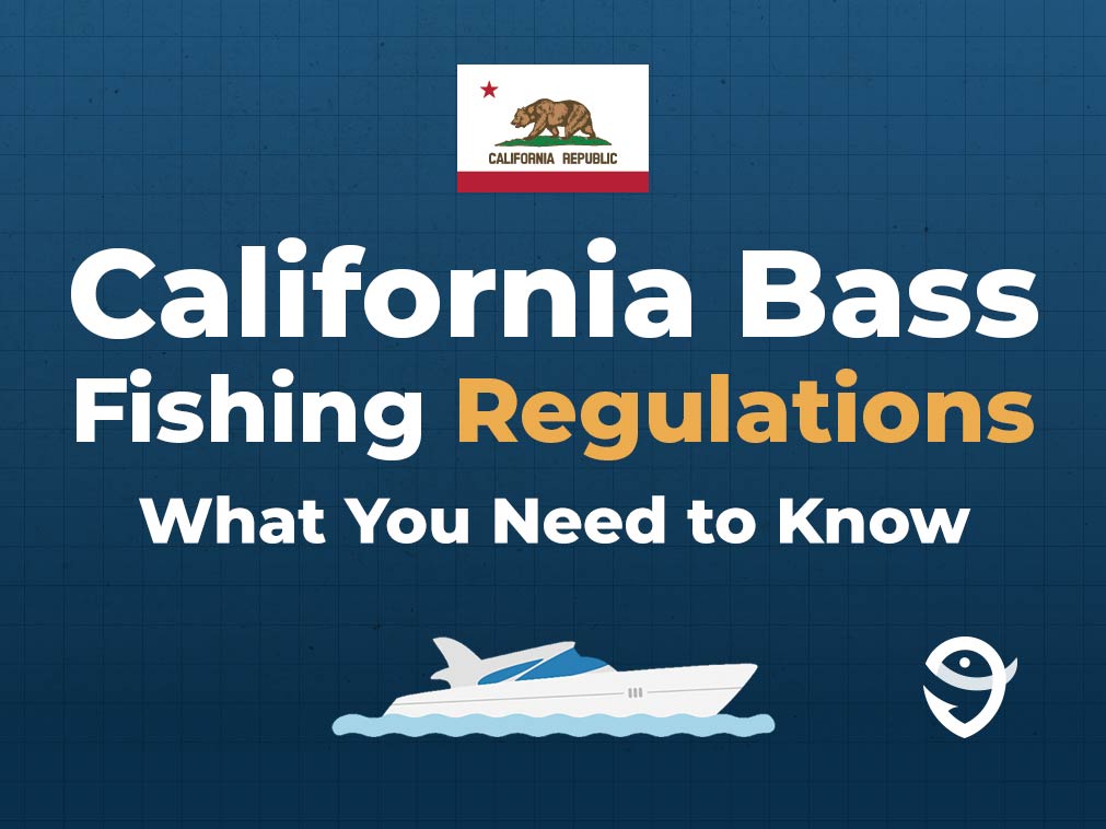 An infographic featuring the flags of California, and text that says "California Bass Fishing Regulations: What You Need to Know" against a dark blue background