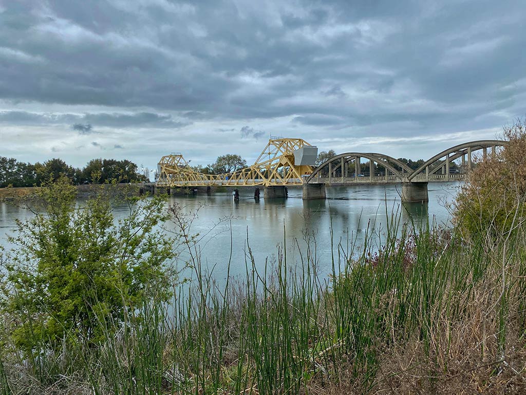 A view from shore towards a river in the California Delta, with a bridge visible in the distance and some long grass and weeds visible in the foreground on a cloudy day