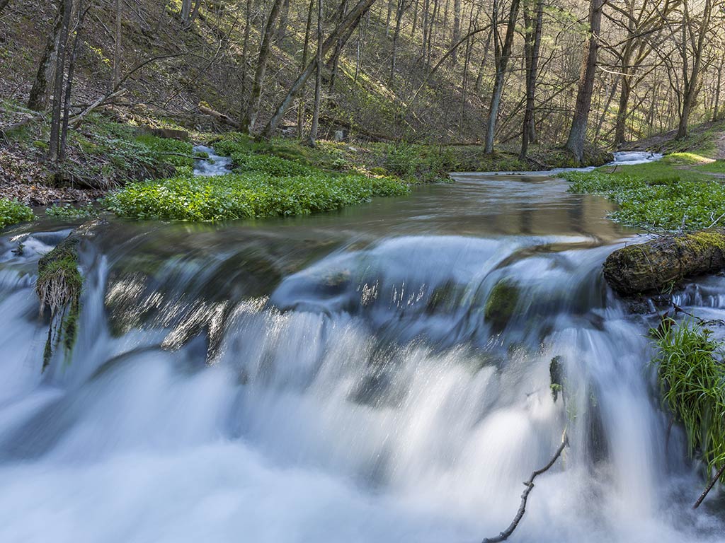 A view of a gushing but small waterfall near Decorah, Iowa, surrounded by woods and some greenery on a spring day