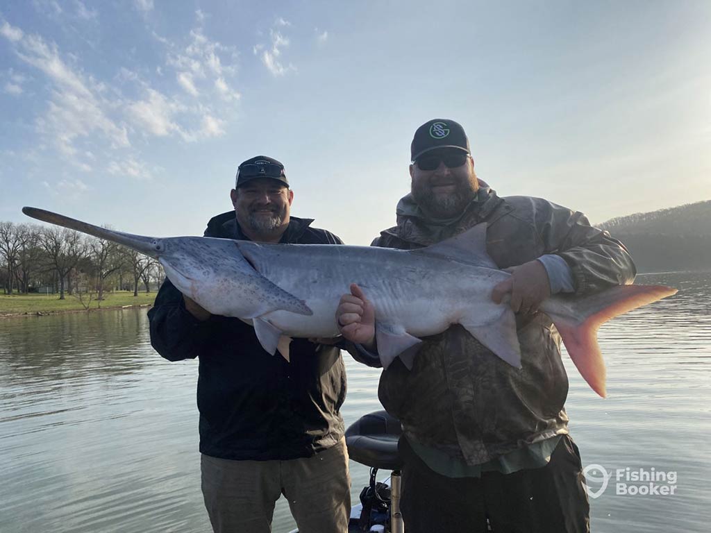 Two anglers holding a Paddlefish caught on Table Rock Lake, with the water behind them and some foliage in the distance on a sunny day