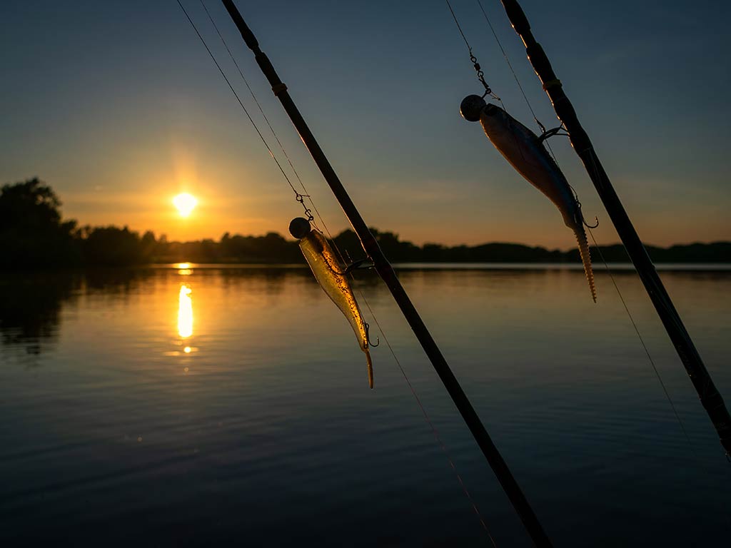 A closeup of two crankbaits on a fishing line, hanging next to two fishing rods before fishing for Walleye at sunset in spring