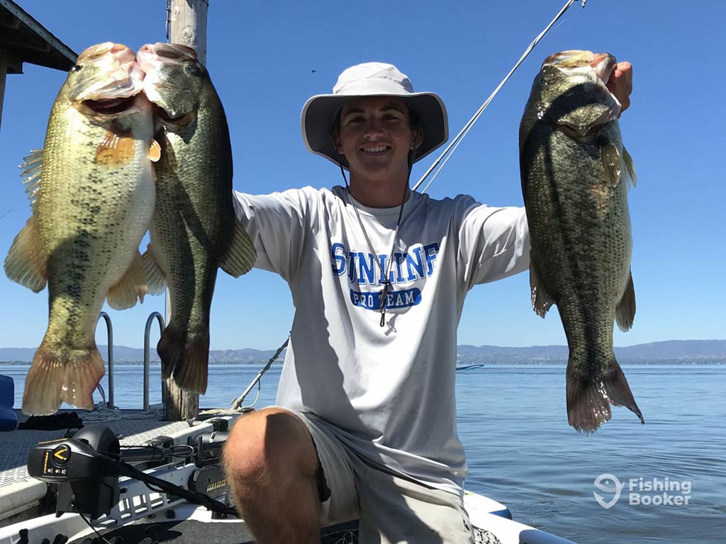 A smiling angler in a hat, crouching down and holding up three sizeable Bass caught fishing in Caliufornia in the summer, with the water and clear skies behind him