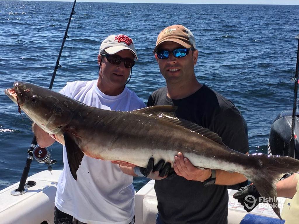 Two male anglers in baseball caps and sunglasses hold a large Cobia aboard a fishing boat, with the water behind them on a sunny day