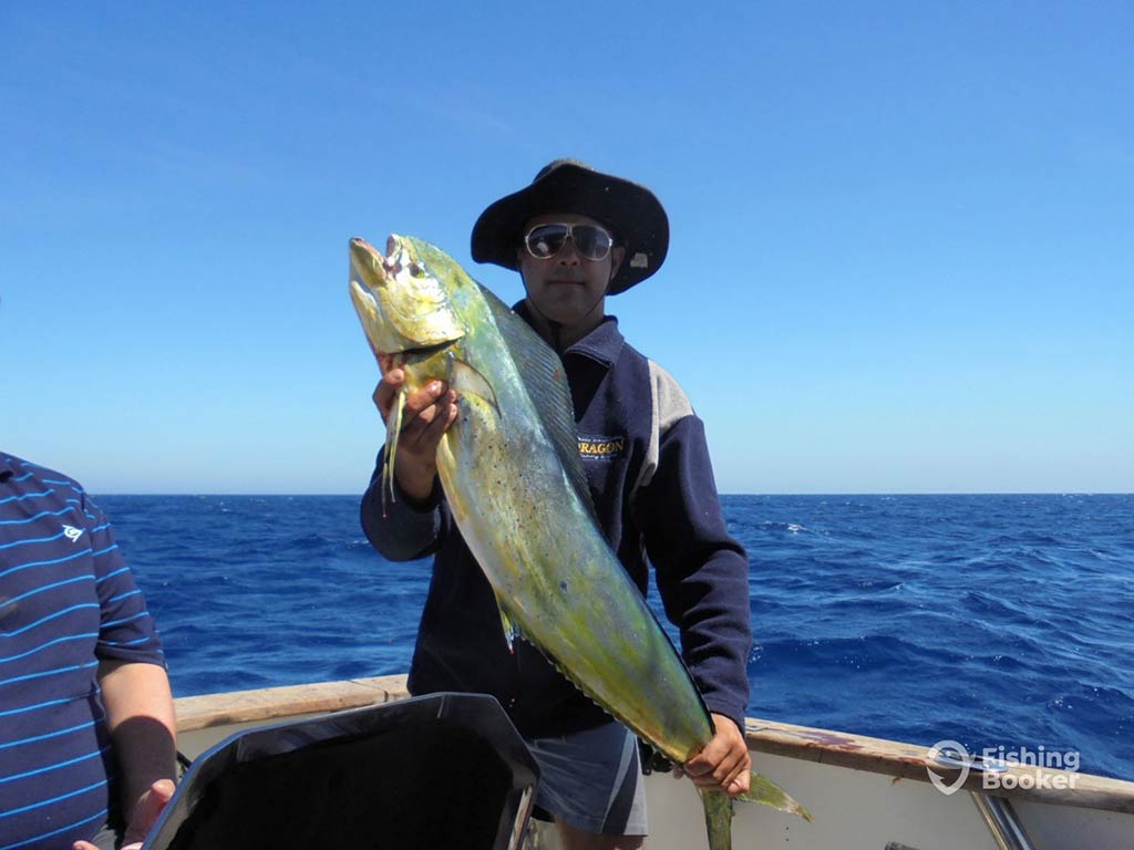 A man standing at the corner of a boat, holding a large Mahi Mahi upright, with the open waters of the Atlantic behind him on a sunny day