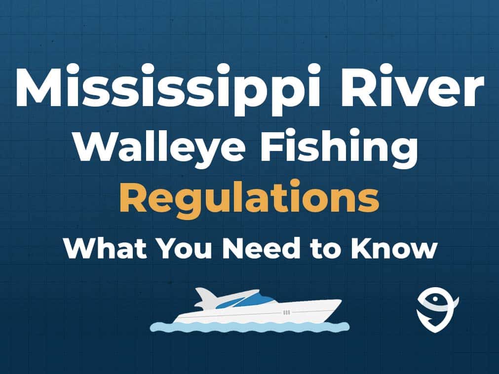 An infographic featuring a vector of a boat and the FishingBooker logo, along with text that says "Mississippi Rifer Walleye Fishing Regulations: What You Need to Know" against a dark blue background