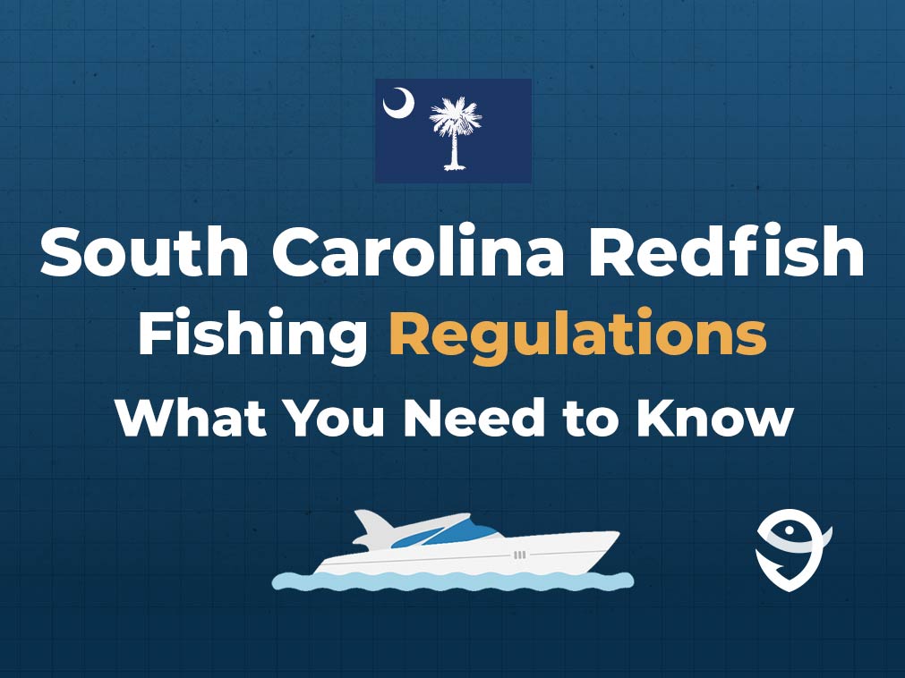 How to Fish for Redfish in South Carolina The Complete Guide Bryant