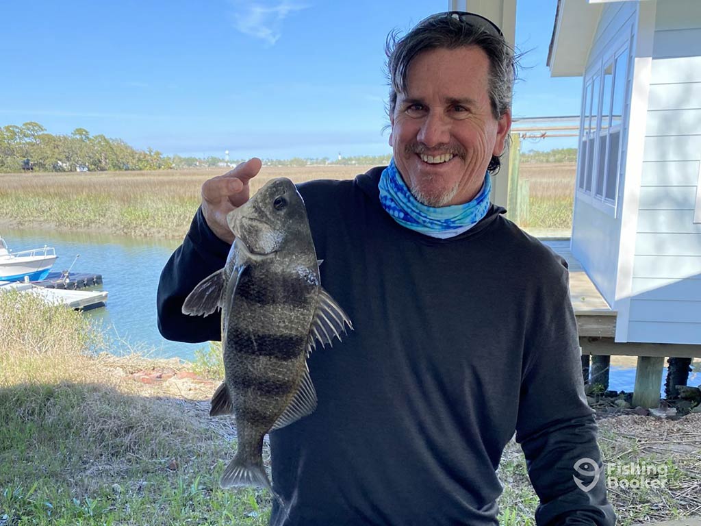 A smiling middle-aged angler holding a Sheepshead fish by the gills back on land with the backcountry waters of Georgia behind him