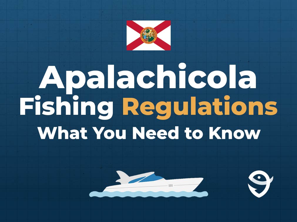 Apalachicola Fishing The Complete Guide (Updated 2023)