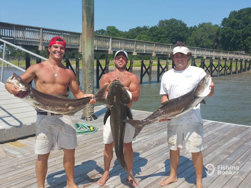 Three anglers – two shirtless – standing on a wooden deck after fishing in Savannah, holding a Cobia each on a sunny day