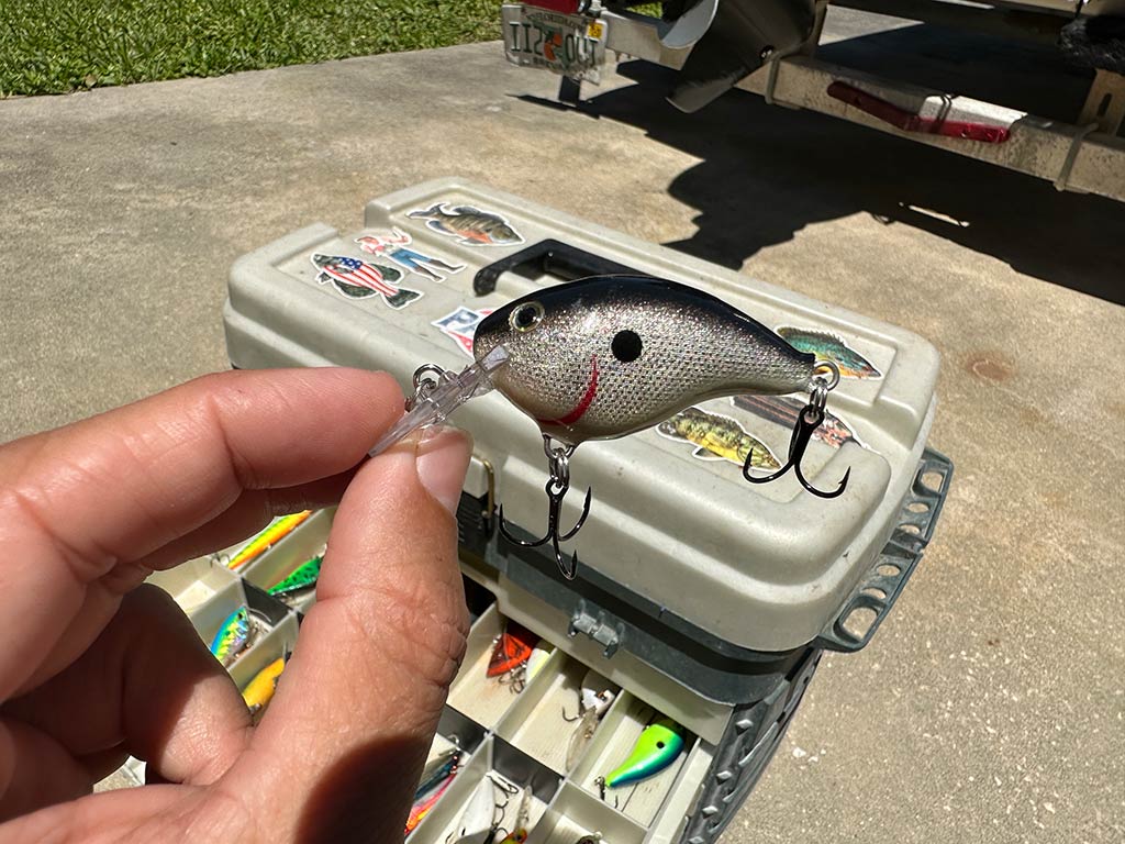 A closeup of a crank bait used for Bass fishing in Kissimmee, FL, being held by a finger and a thumb pinching its top