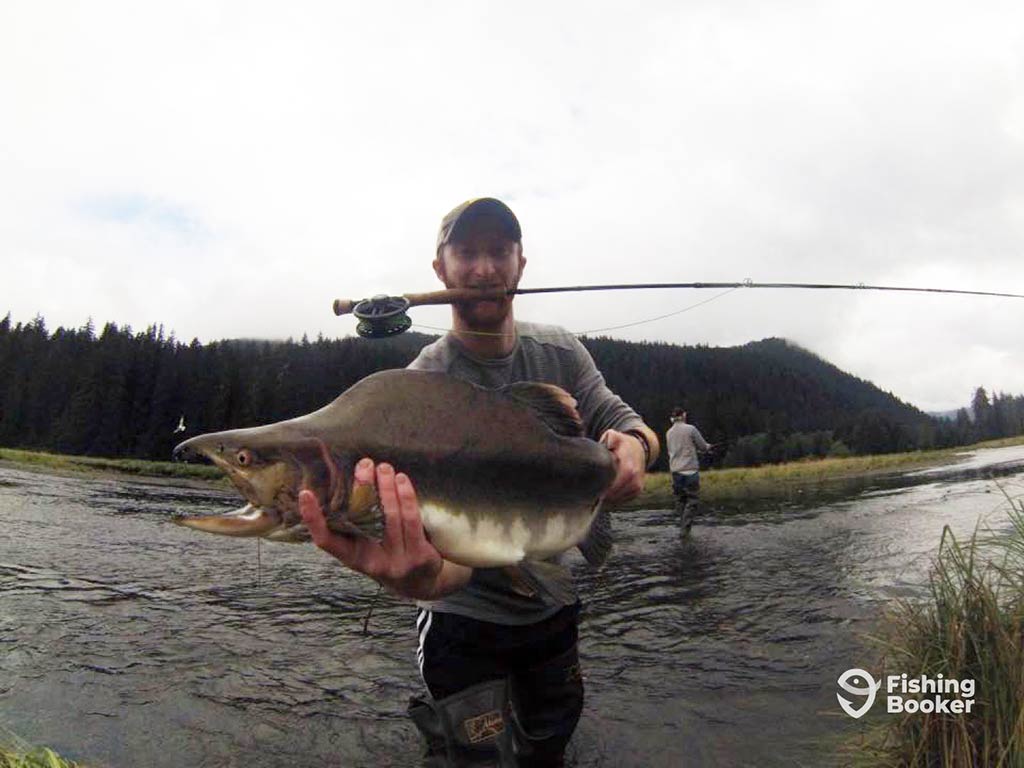 An angler holds up a Salmon to the camera, while holding his fly fishing rod in his mouth after a successful fly fishing adventure near Juneau on a cloudy day