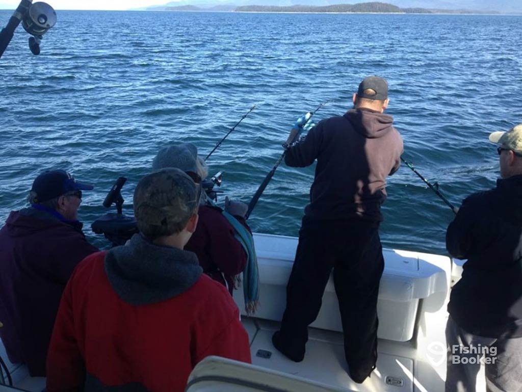 A view from behind of an angler trying to pull a fish aboard a sportfishing boat in Juneau, AK, with other fishers looking on on a sunny day, with the water in the distance