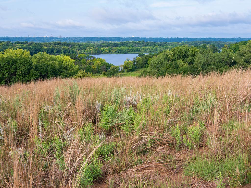 A view of a Mooers Lake from an overlooking grassy hill on a cloudy day – a tributary of the Mississippi River in Minnesota