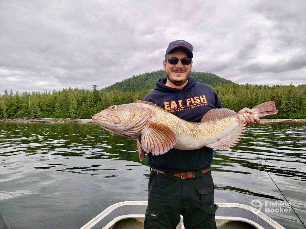 A smiling angler in a baseball cap and sunglasses, standing on a boat on calm waters, holding a large Lingcod with a green bank behind him in the distance