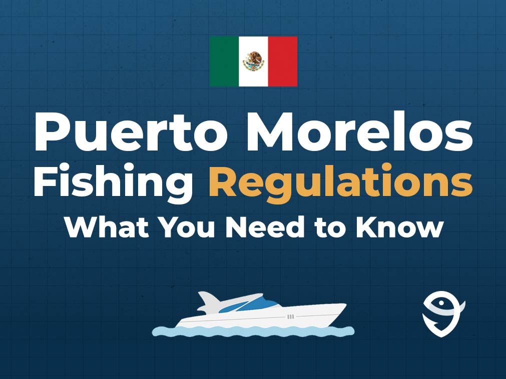 An infographic featuring the flag of Mexico, and text that says "Puerto Morelos Fishing Regulations: What You Need to Know" against a dark blue background