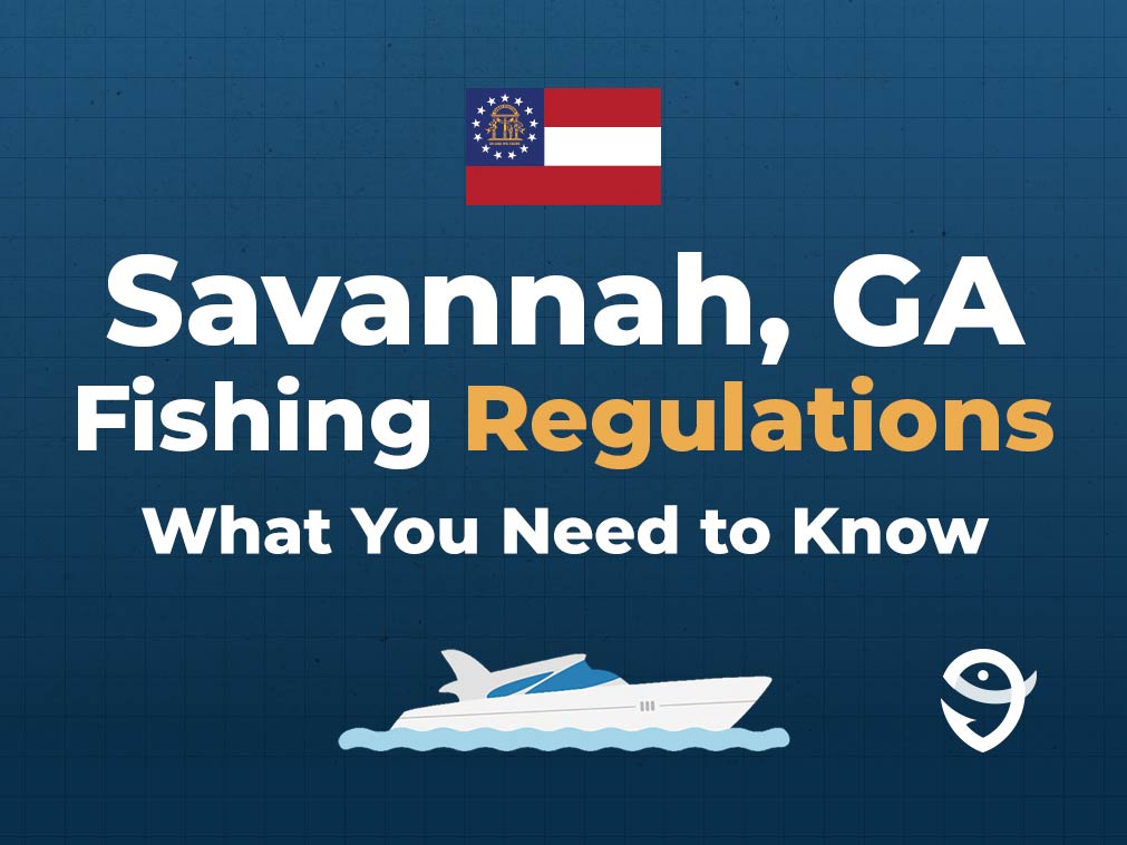 Savannah, GA, Fishing The Complete Guide (Updated 2023)