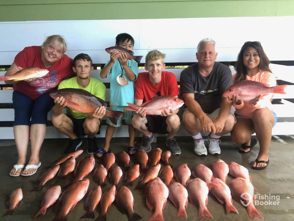 A family of anglers back at the dock in Apalachicola, holding and posing behind a number of Mangrove Snappers caught while fishing