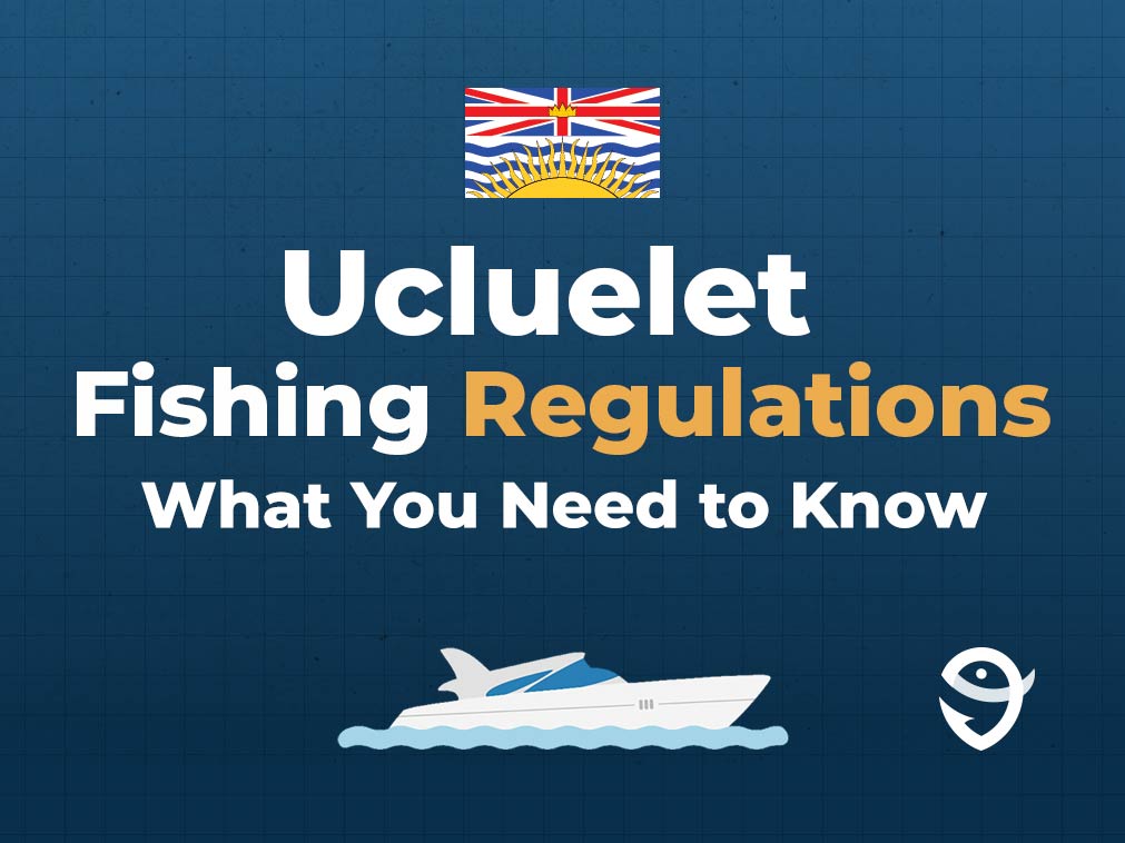 An infographic featuring the flag of British Columbia and a text that says "Ucluelet Fishing Regulations What You Need to Know" on a dark blue background along with a FishingBooker logo