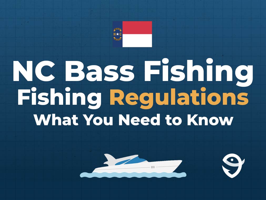 An infographic featuring the state flag of North Carolina along with text that says "NC Bass Fishing Regulations: What You Need to Know" against a dark blue background.