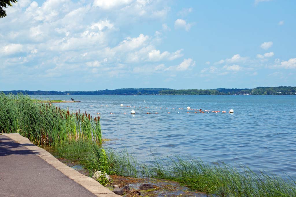 A shoreline view of Cayuga Lake, one of the Finger Lakes found in upstate New York, with vegetation visible close to shore and buoys in the calm lake waters.