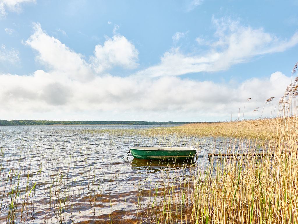 A photo of a small boat on a local pond