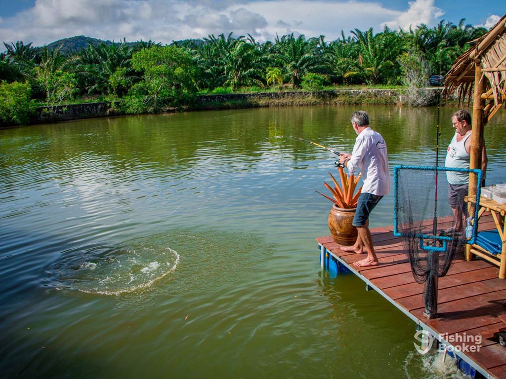 An angler stands on a small wooden fishing structure, casting a line into a fishing lake in Phuket, with some action visible in the water, creating ripples on a clear day