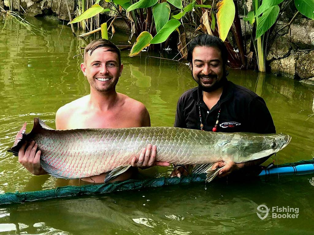 One shirtless and one shirted man stand waist-deep in a fishing lake in Phuket, holding a large fish just out of the water with greenery behind them in the murky waters