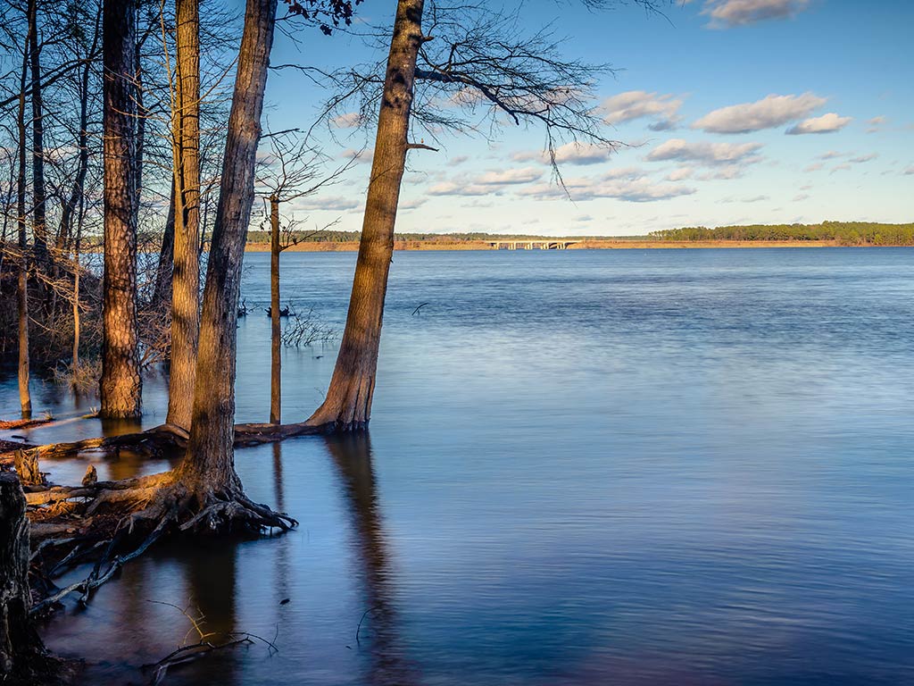 A view across the calm waters of Jordan Lake, NC, with submerged trees visible in the calm water on a clear day