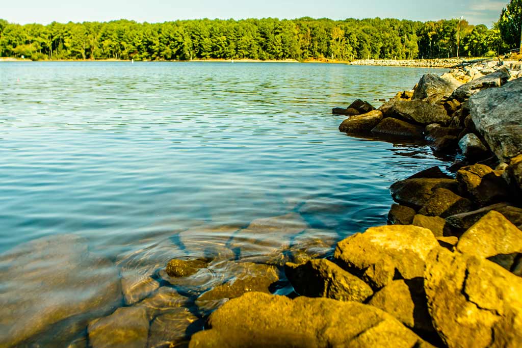 A coastal view of Lake Murray, one of the best Fourth of July fishing destinations, with rocks visible along the shore and calm, see-through waters stretching out, with a forest in the distant background.